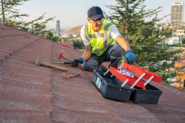 Best Shed Removal  in Benton Park, CA